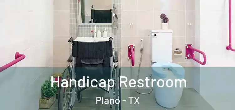  Handicap Restroom Plano - TX