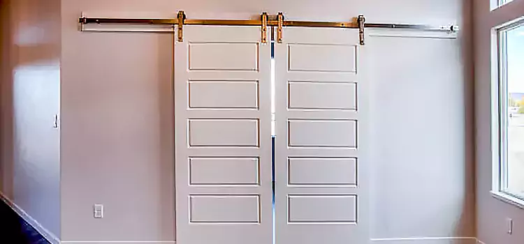 Glass Barn Door with Installation Hardware Kit Plano
