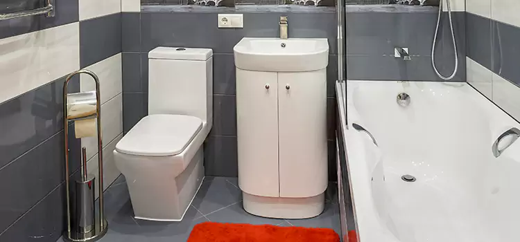 Hansgrohe Shaving Mirror Plano